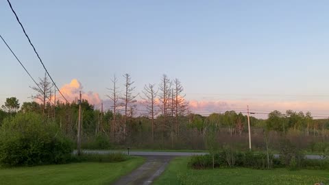 Northern Maine Evening Sounds in the Spring