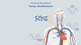 The Mark of the beast is already in the body. Intra-body nano-network