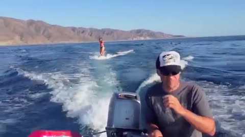 Dolphin Surfing, Woman Wakeboarding with Dolphins