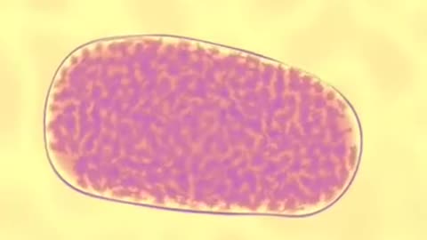 life process of microbes