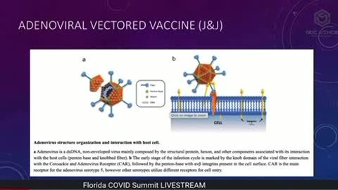 Dr. Robert Malone: The J&J Vaccine is NOT a Traditional Vaccine!