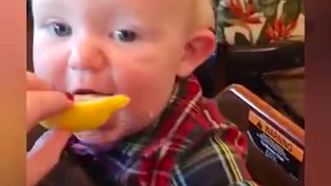 Cute Baby Eating Lemon For The First Time