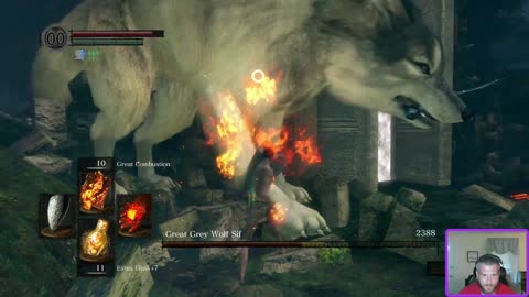 Dark Souls SL1 NG7 Great Grey Wolf Sif