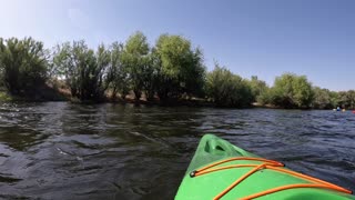 Wild Horses Cross River in Front of Kayakers