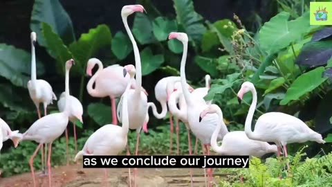 Animal Life -(" flamingo kingdom : unveiling the wonders of flamingo colonies and Ecosystem ) .