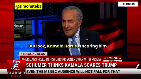 Schumer Thinks Kamala Scares Trump