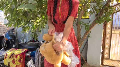 Anshu destroyed Jerry's favourite Teddy | cute dog video.