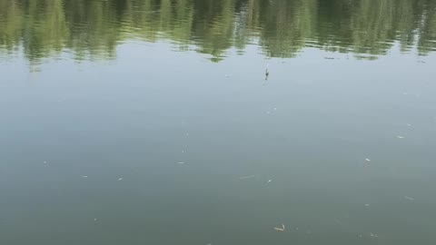 The river surface with waves and phosphorus can't see the edge at a glance