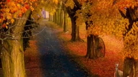 I hope to meet you in the sunset filled with orange streets! Fall should look