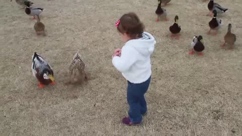 Baby Quinn feeding ducks at the park