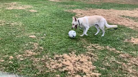 Frosty plays soccer