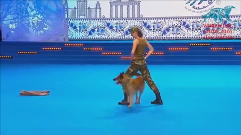 FCI Dog dance World Championship 2016 – Freestyle final