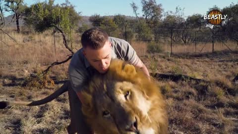 ‘Lion King’s’ Top 5 Animal Trainer Moments | BEAST BUDDIES