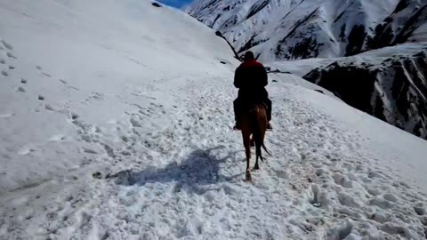 HORSES IN THE MOUNTAINS!!