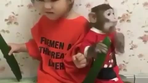 LITTLE MONEY MONKEY WITH LITTLE BABY