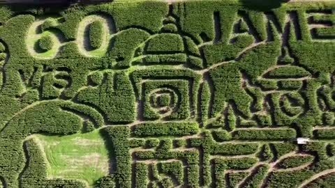 'World's largest corn maze' celebrates 60 years of James Bond