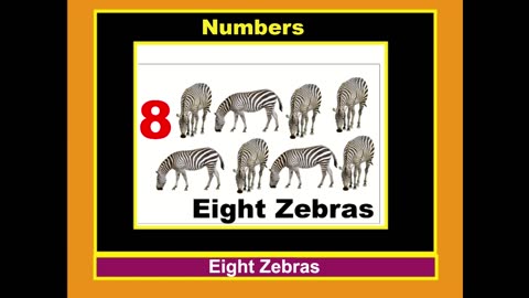 Learn Numbers For Kids And Toddlers