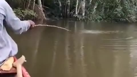 fishing and fishing