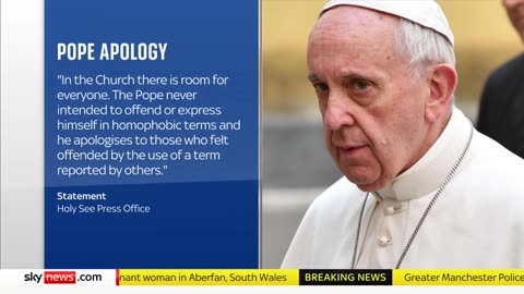 Vatican apologises after Pope Francis uses derogatory term for gay men Sky News Live