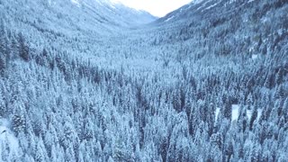 Beautiful Heaven On Earth Of British Columbia | Canada | TimeLapse Adventure | 4K