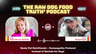 Nealy Pet Nutritionist - Homeopathy Protocol Instead of Dentals for Dogs