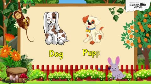 Animals and Their Babies - Learning Videos for Kids (untuk PAUD dan TK) #englishforkids