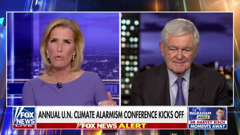 Newt Gingrich warnt, John Kerrys Klimawandel-Agenda sei ein geheimes "Eugenik-Programm"