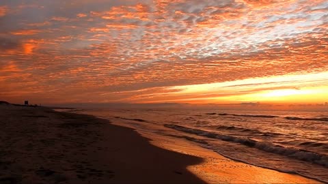 The Tide, Original Harp Solo by Cindy Blevins