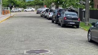 Curtindo uma tarde na praia de Quatro Ilhas, Bombinhas - SC | Som Ambiente