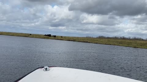 Saint John’s River airboat ride