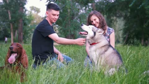 Young couple with dogs have a rest outdoors on the grass at summer sunset