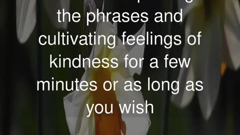 Loving-Kindness Towards Strangers Meditation