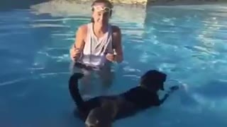 Yorkie finds interesting way to stay dry in the pool