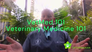 Veterinary Medicine 101