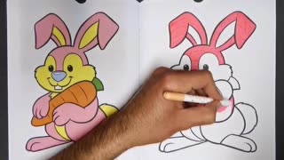 My first coloring Book: Rabbit coloring