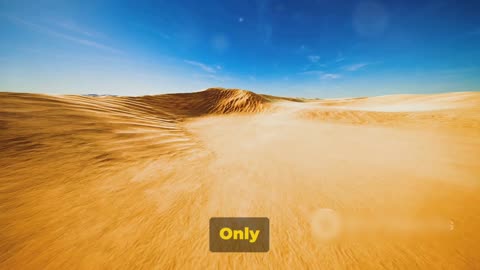 Sahara desert