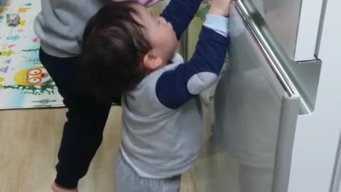 Refrigerator climbing