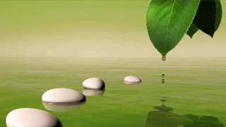 Zen Spa Music for deep relaxation and tranquil spirits (With Babbling Brook)