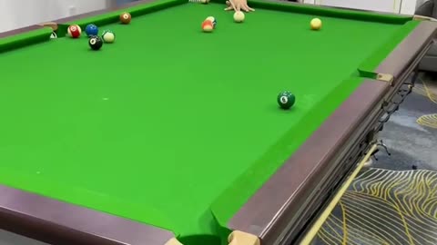 Funny video of billiards