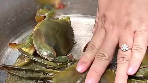 Delicious mud crab blue crab cook recipe yummy