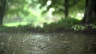 ASMR | RAIN SOUNDS TO SLEEP AND RELAX