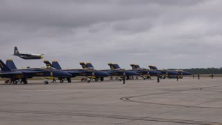 Fat Albert photobombs the Blues