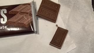 Eating Hersheys Milk Chocolate, Dbn, MI, 1/28/24