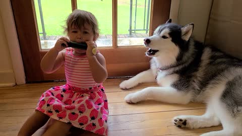 Husky sings along to little girl's harmonica solo