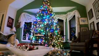 Christmas Tree Decorating 2021