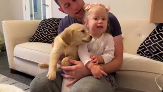 First Meeting Between Cute Baby And New Golden Retriever Puppy!