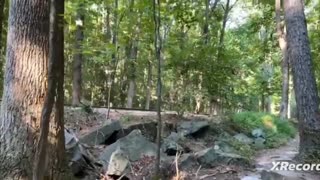 Hiking at stone mountain park