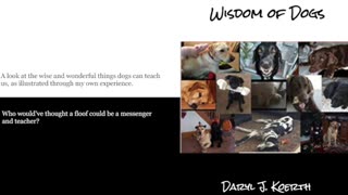 The Loving Wisdom of Dogs (Book Trailer)