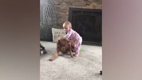 Funny Baby And Pets