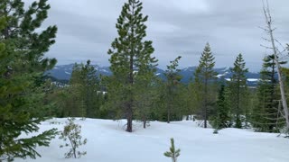 Gorgeous Forest & Mountain Range – Central Oregon – Potato Hill Sno-Park – 4K